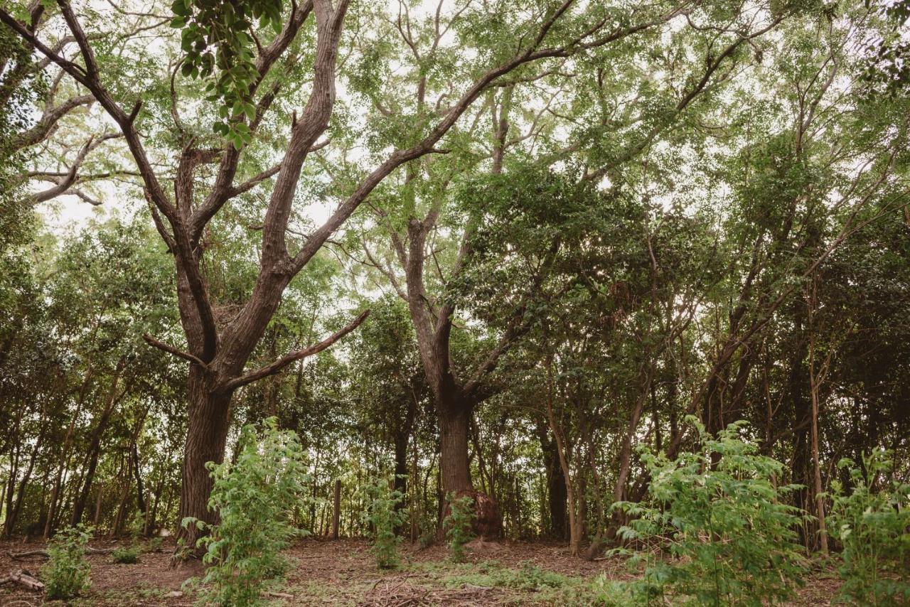 El Rincon - Casa De Campo Carmelo Exteriér fotografie